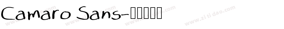 Camaro Sans字体转换